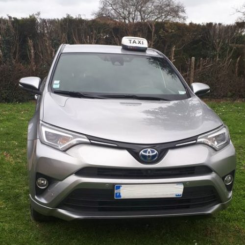 Voiture-grise-Toyota-RAV4-4-places_reduced